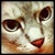 d_sardine 