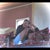 Khalid.M 