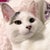 moon_ t