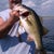 Bob Rahn