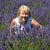 Gayla Reese Walsh