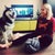 Екатерина Холодова