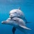 Jieun C. L.