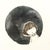 Thanh Pham