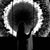 Maram ‍