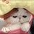 ポコ ポコ