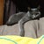 do_su_0805 さん