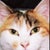 neko ezlee