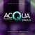 Acqua Diva Discotheque