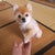 Keisuke 
