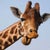 Chad Williams