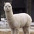 ふにお 