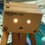 unshavenbear ©くまひげ™