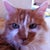 FunkyCat 
