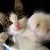 elparc07 
