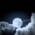 NeverwinterMoon 