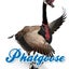 Phatgoose