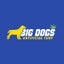 Big Dogs Artificial Turf