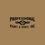 Professional Paint & Body, Inc. P.