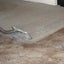 Carpet Cleaning B.