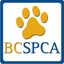BC - SPCA
