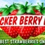 Thacker Berry Farms T.