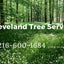 Cleveland Tree S.