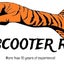 Tiger Scooter R.