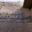 Eureka Valley/Harvey Milk Branch S.