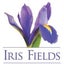 Iris Fields NYC