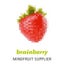 Brainberry Group