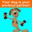The Nerdy Dog Fitness