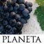 Planeta Winery