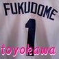 Fukudome of toyokawa