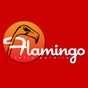 Bar Flamingo