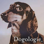 Dogologie