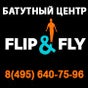 Flip & Fly
