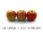 An Apple A Day Catering & Meg's Cafe