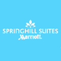 SpringHill Suites by Marriott Alexandria