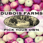 DuBois Farms