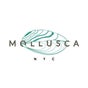 Mollusca