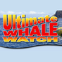Ultimate Whale Watch