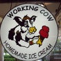 The Yogurt Place Working Cow