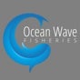 Ocean Wave Fisheries