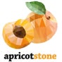 apricot stone