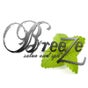 Breeze Salon and Day Spa - Georgetown