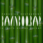 BAMBOO.BAR