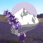 New Zealand Alpine Lavender Farm and Shop