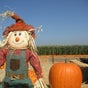 Fantozzi Farms Corn Maze and Pumpkin Patch