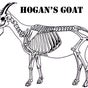 Hogan's Goat Pizza
